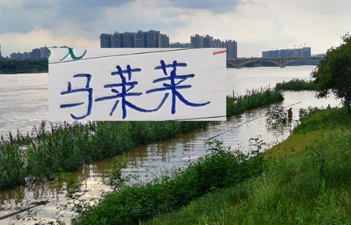 开云首页体验-如何防隔壁豪华版的马莱莱 是海港穆帅新赛季要应对的一个课题